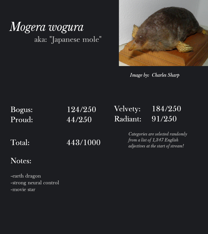 Mogera wogura